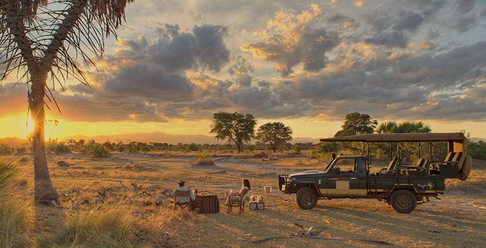 ケニア・スカイサファリ 8日間