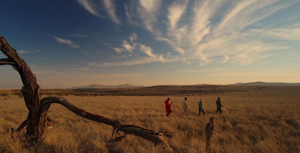 グレートリフトバレーサファリツアー：8泊9日