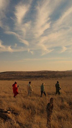 グレートリフトバレーサファリツアー：8泊9日