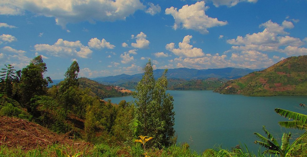 ルワンダ・チンパンジー＆ゴリラ・エンカウンター：7日間