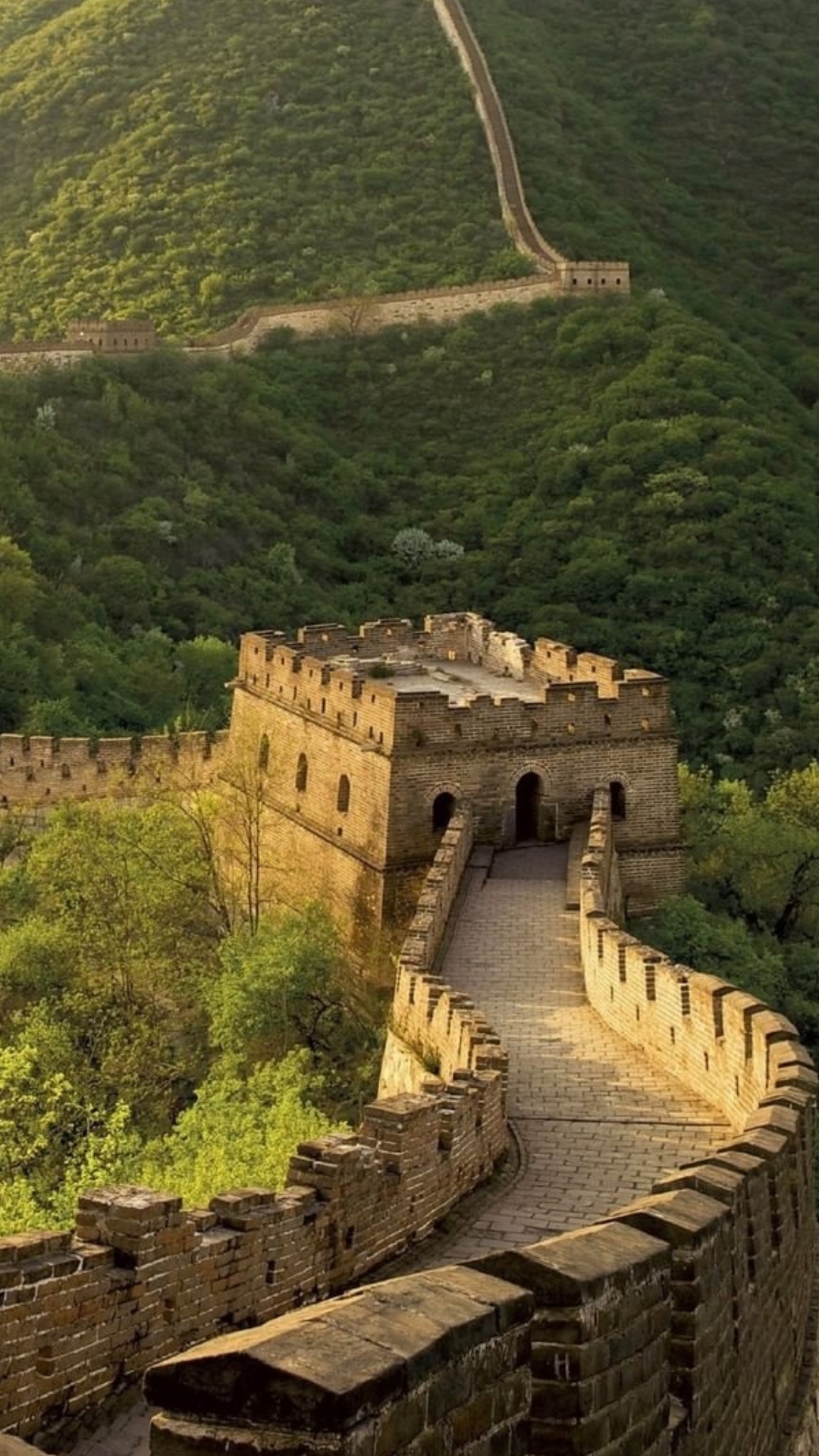 中国