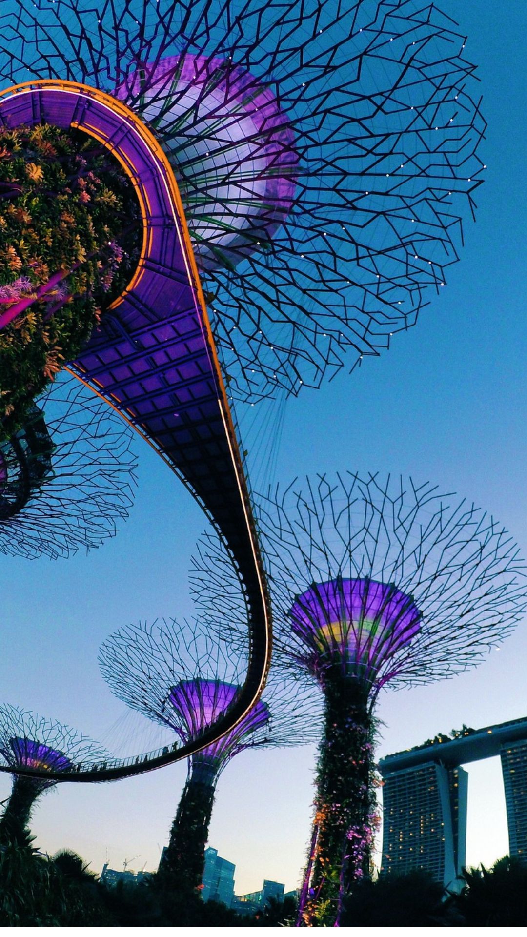 シンガポール